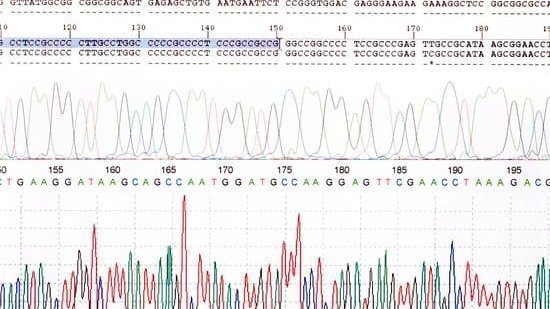 fazit einer hausarbeit