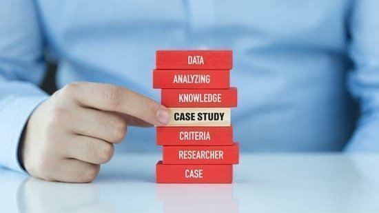 hausarbeit case management