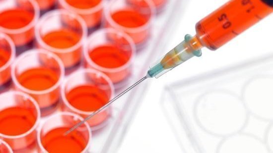 interessante politische themen hausarbeit